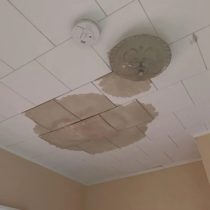 Ceiling Water Damage Repair in Yorketown, NJ