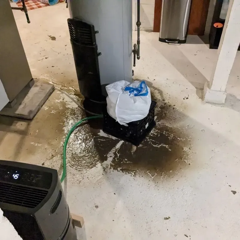 Sewage Backup Cleanup Service in Yorketown, NJ
